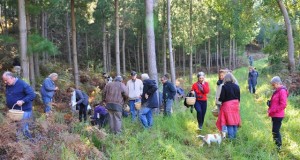 Delheim 2016 Mushroom Hunts LR (2)