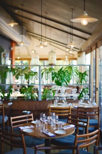 Mondiall Interior ClaireGunn(1)