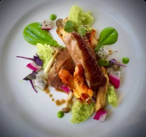 Sauteed chicken of the woods, panfried duckbreast, pea sponge, dragon fruit, pea puree, pickled shimeji mushrooms, duck jus